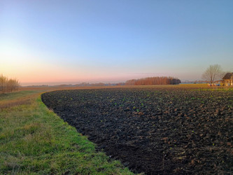 Rolny Łańcucki
Białobrzegi
Dębina Na sprzedaż 125 000 PLN 1270 m2 