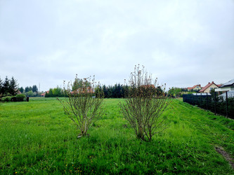 Rolny Rzeszów Na sprzedaż 1 855 000 PLN 4123 m2 