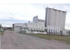 Przemysłowy Międzyrzecki
Przytoczna Na sprzedaż 3 260 000 PLN 11 800 m2 