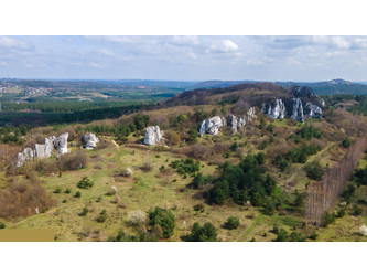 Budowlany Zawierciański (Pow.)
Włodowice (Gm.)
Rzędkowice Na sprzedaż 89 000 PLN 700 m2 