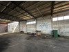 Magazyn kujawsko-pomorskie
brodnicki
Brodnica
Szczuka Na sprzedaż 400 000 PLN 1796 m2 