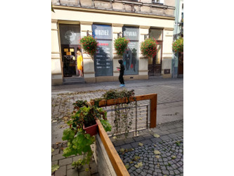 Lokal dolnośląskie
świdnicki
Świdnica Do wynajęcia 7500 PLN 94 m2 