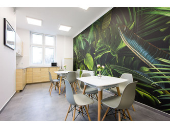 Biuro łódzkie
Łódź
Polesie Do wynajęcia 1311 PLN 18 m2 