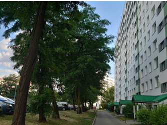 Mieszkanie łódzkie
Łódź
Bałuty Na sprzedaż 335 000 PLN 45 m2 