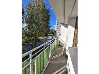 Mieszkanie śląskie
Bytom
Miechowice Do wynajęcia 1400 PLN 39 m2 