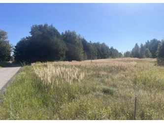 Działka śląskie
częstochowski
Lelów
Biała Wielka Na sprzedaż 160 000 PLN 9200 m2 