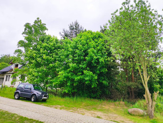 Działka pomorskie
kwidzyński
Kwidzyn
Brachlewo Na sprzedaż 82 500 PLN 800 m2 