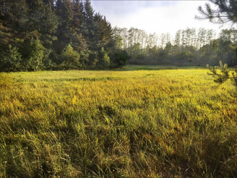 Działka mazowieckie
grodziski
Żabia Wola
Skuły Na sprzedaż 520 000 PLN 10 100 m2 