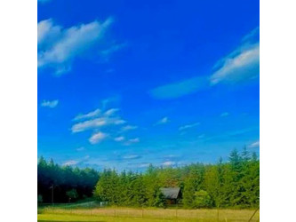 Dom warmińsko-mazurskie
szczycieński
Świętajno
Powałczyn Do wynajęcia 500 PLN 50 m2 