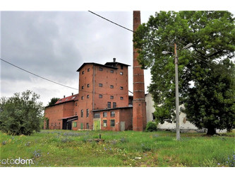 Przemysłowy opolskie
namysłowski
Namysłów
Minkowskie Na sprzedaż 610 000 PLN 37 544 m2 