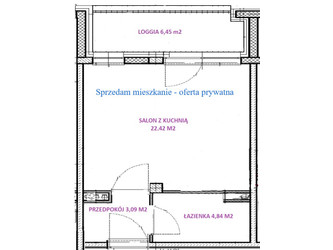 Mieszkanie dolnośląskie
milicki
Milicz Na sprzedaż 273 150 PLN 30,35 m2 