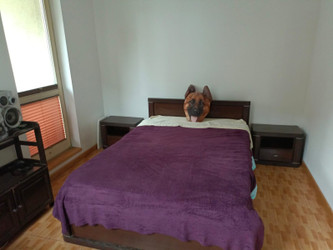 Mieszkanie mazowieckie
Warszawa
Mokotów Na sprzedaż 580 000 PLN 30 m2 