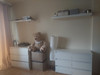 Mieszkanie mazowieckie
Warszawa
Bielany Do wynajęcia 2500 PLN 32 m2 