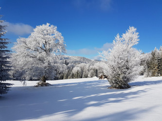 Działka małopolskie
nowotarski
Nowy Targ
Łopuszna Na sprzedaż 130 000 PLN 7500 m2 