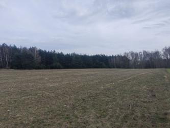 Działka łódzkie
poddębicki
Poddębice
Panaszew Na sprzedaż 1 500 000 PLN 20 900 m2 