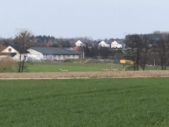 Działka wielkopolskie
poznański
Buk
Niepruszewo Na sprzedaż 230 000 PLN 817 m2 