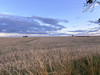 Działka mazowieckie
płocki
Gąbin
Koszelew Na sprzedaż 307 300 PLN 43 900 m2 