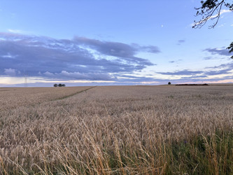 Działka mazowieckie
płocki
Gąbin
Koszelew Na sprzedaż 307 300 PLN 43 900 m2 