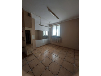 Lokal podkarpackie
krośnieński
Jedlicze
Jedlicze Do wynajęcia 1200 PLN 50 m2 