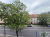 Mieszkanie śląskie
Gliwice
Szobiszowice Na sprzedaż 299 000 PLN 47,49 m2 
