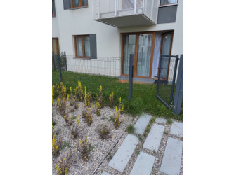 Mieszkanie małopolskie
Kraków
Czyżyny Do wynajęcia 2900 PLN 36 m2 