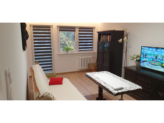 Mieszkanie łódzkie
Łódź
Bałuty
Teofilów Do wynajęcia 2000 PLN 47 m2 