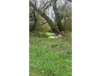 Działka mazowieckie
garwoliński
Wilga
Tarnów Na sprzedaż 31 000 PLN 1500 m2 