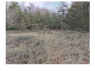 Działka mazowieckie
przasnyski
Chorzele
Chorzele Na sprzedaż 407 496 PLN 11 822 m2 