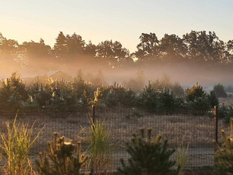 Dom zachodniopomorskie
koszaliński
Polanów
Rekowo Do wynajęcia 750 PLN 70 m2 