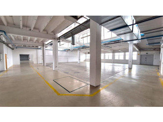 Magazyn łódzkie
pabianicki
Pabianice Do wynajęcia 10 PLN 700 m2 