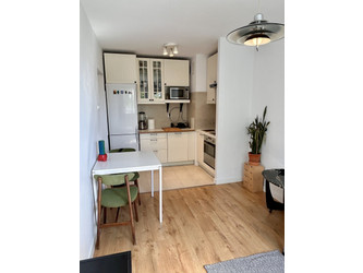 Mieszkanie mazowieckie
Warszawa
Wola Do wynajęcia 3150 PLN 30 m2 