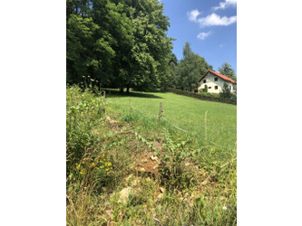 Działka śląskie
cieszyński
Goleszów
Cisownica Na sprzedaż 220 000 PLN 1100 m2 