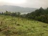Działka śląskie
żywiecki
Czernichów
Tresna Na sprzedaż 370 000 PLN 1253 m2 
