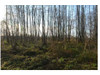 Działka lubelskie
bialski
Wisznice
Polubicze Dworskie Na sprzedaż 25 000 PLN 11 978 m2 