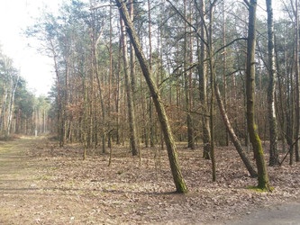 Działka mazowieckie
grodziski
Żabia Wola
Władysławów Na sprzedaż 399 000 PLN 9151 m2 