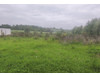 Działka pomorskie
słupski
Dębnica Kaszubska
Borzęcinko Na sprzedaż 100 000 PLN 1443 m2 