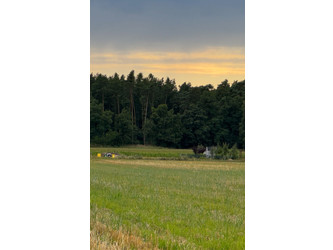 Działka dolnośląskie
średzki
Miękinia
Brzezina Na sprzedaż 385 000 PLN 1082 m2 