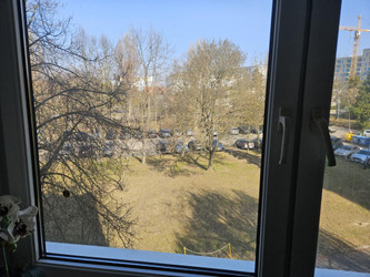 Mieszkanie wielkopolskie
Poznań
Jeżyce Do wynajęcia 1348 PLN 42 m2 