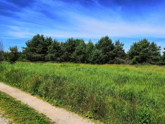 Działka warmińsko-mazurskie
ostródzki
Ostróda
Zwierzewo Na sprzedaż 205 000 PLN 1345 m2 