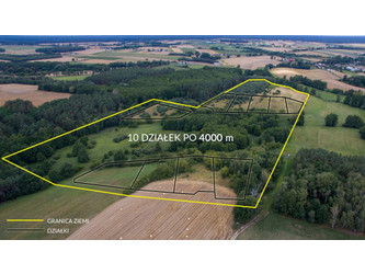 Działka wielkopolskie
międzychodzki
Chrzypsko Wielkie
Ryżyn Na sprzedaż 1 200 000 PLN 129 000 m2 