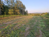 Działka podkarpackie
dębicki
Czarna
Grabiny Na sprzedaż 72 000 PLN 900 m2 