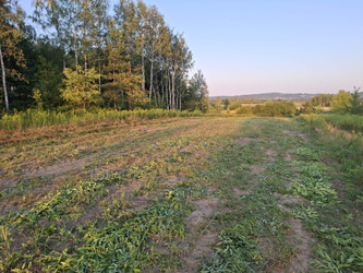 Działka podkarpackie
dębicki
Czarna
Grabiny Na sprzedaż 72 000 PLN 900 m2 
