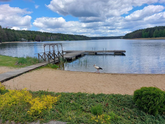 Dom warmińsko-mazurskie
olsztyński
Olsztynek
Kołatek (osada) Na sprzedaż 210 000 PLN 245,8 m2 