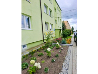 Mieszkanie lubuskie
sulęciński
Torzym
Boczów Na sprzedaż 185 000 PLN 40,8 m2 