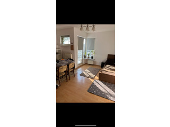 Mieszkanie wielkopolskie
Poznań
Junikowo Do wynajęcia 1450 PLN 28 m2 