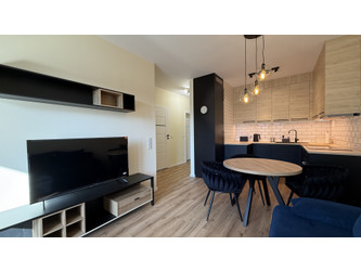 Mieszkanie mazowieckie
Warszawa
Praga-Północ Do wynajęcia 4200 PLN 41 m2 