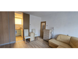 Mieszkanie łódzkie
Łódź
Górna Do wynajęcia 1600 PLN 37 m2 