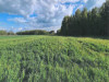 Działka mazowieckie
miński
Jakubów
Brzozówka Na sprzedaż 125 150 PLN 27 588 m2 