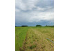 Działka mazowieckie
pułtuski
Winnica
Powielin Na sprzedaż 98 000 PLN 1200 m2 