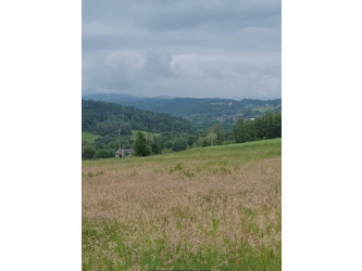 Działka małopolskie
myślenicki
Raciechowice
Krzyworzeka Na sprzedaż 177 000 PLN 1180 m2 